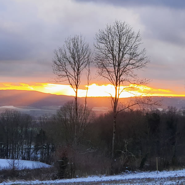 Imbolc – Lichtmess – Fest der keltischen Lichtbringerin Brigid - Beatrice von Singen - Lebensberatung zur Selbstentfaltung